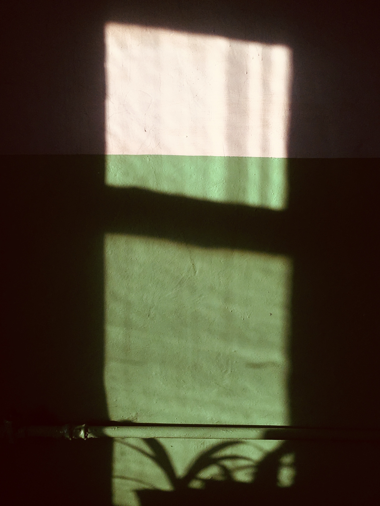 portfolio-image